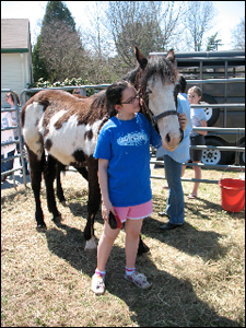 healing horses